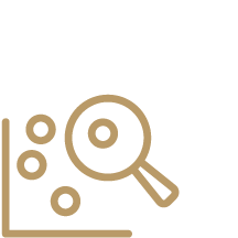 Search Icon